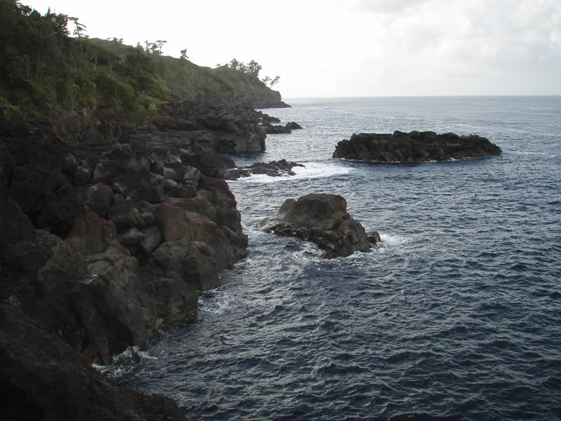 案内板側から見える写真左側の岩場が釣り座　写真先端の岩礁は通称“アシカ島”