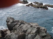 千波崎・平床。前方に見えるがホコ島